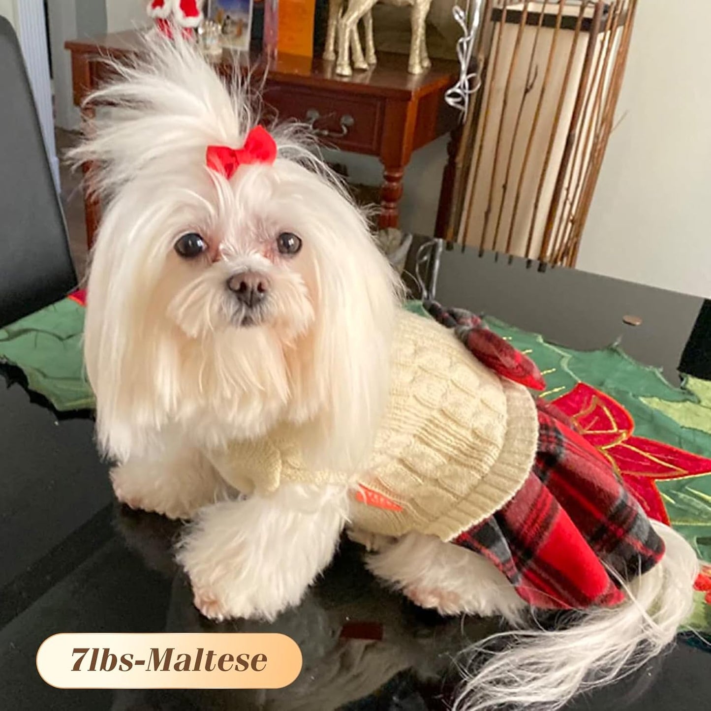 Sweater Dress for Small Dogs