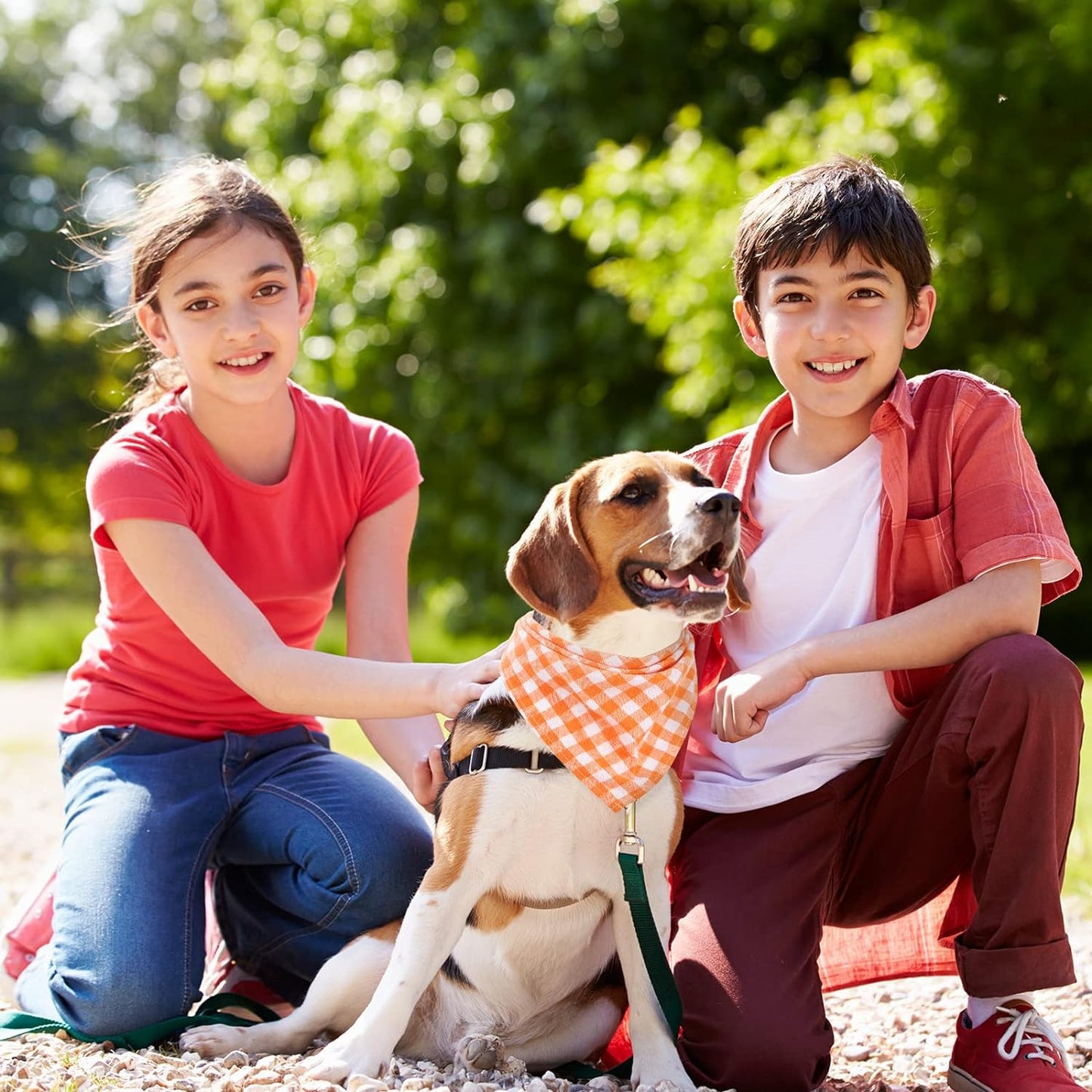 12 Piece Dog Bandanas Plaid Dog Scarf