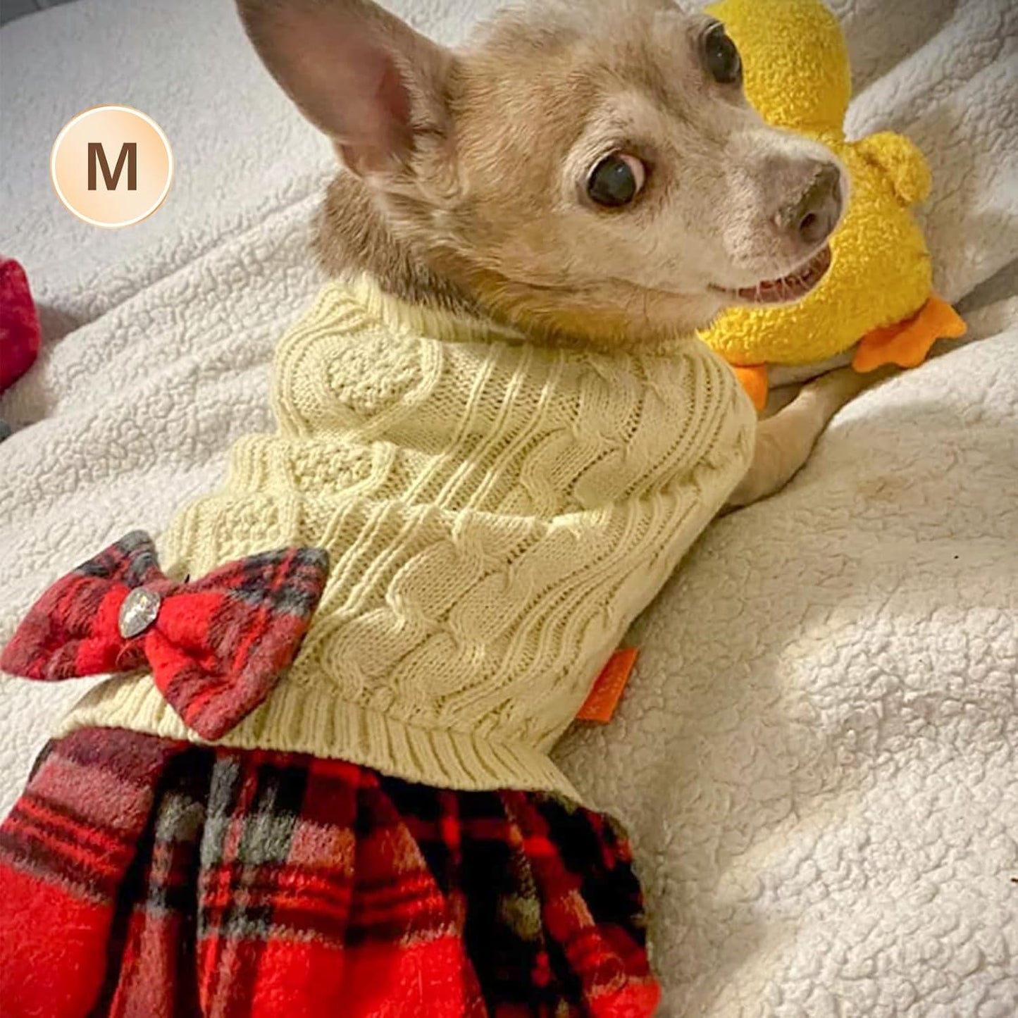 Sweater Dress for Small Dogs 